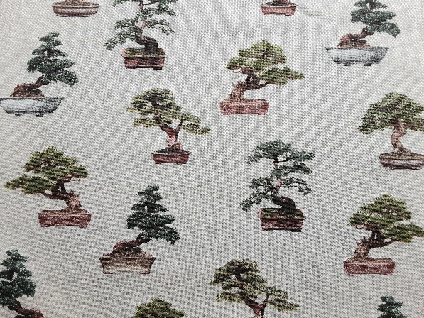 Cotton-Rich, Linen-Bonsai