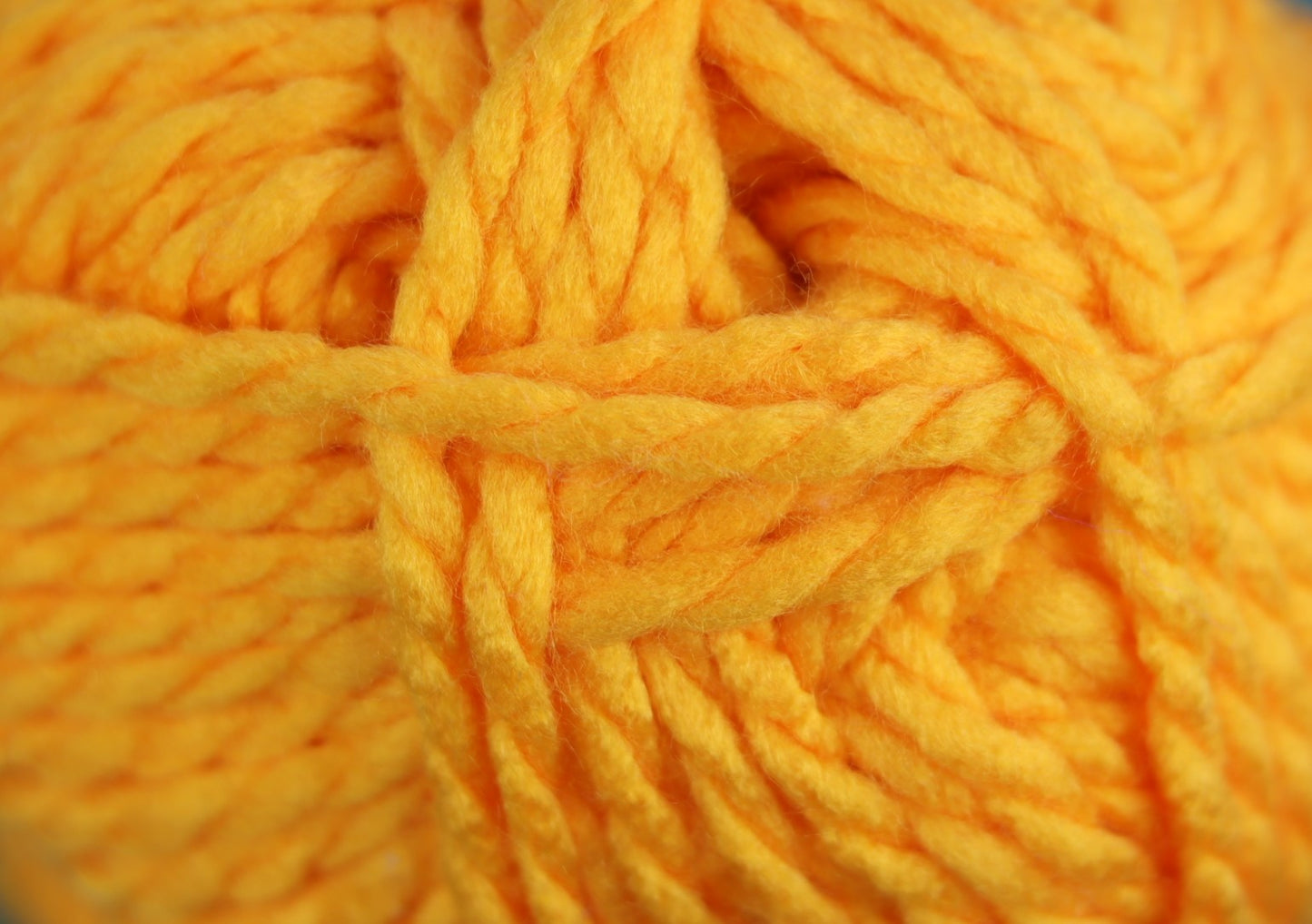 Robin Super Chunky 100g/ Inca