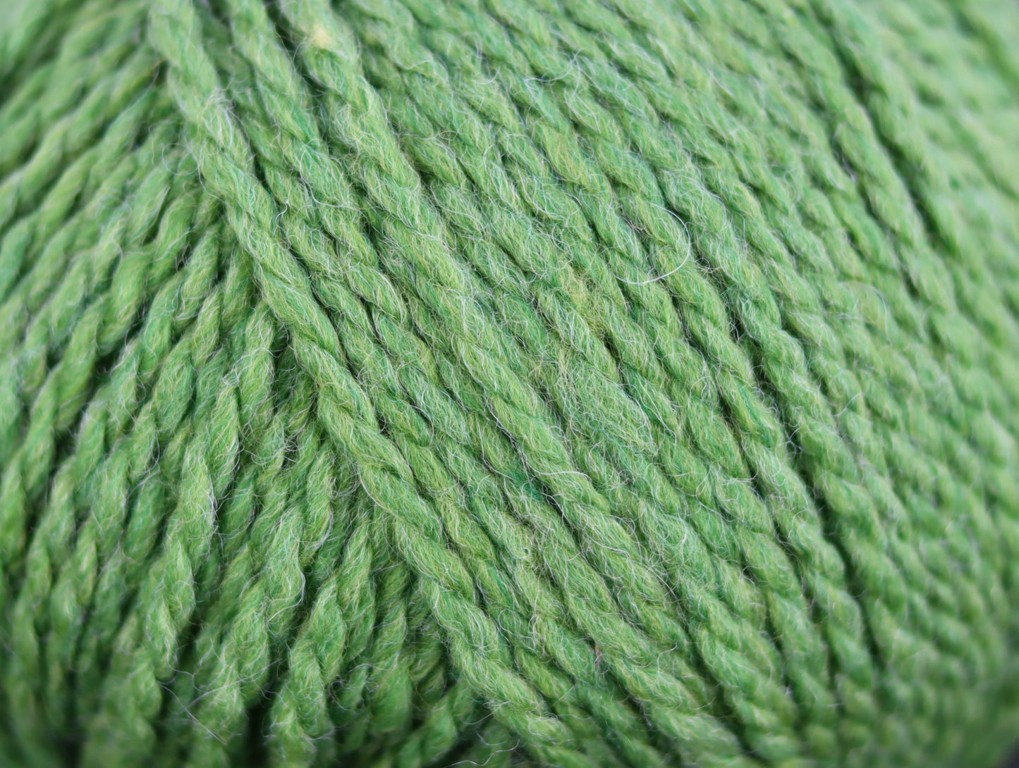 Softie Chunky 100g/Fern