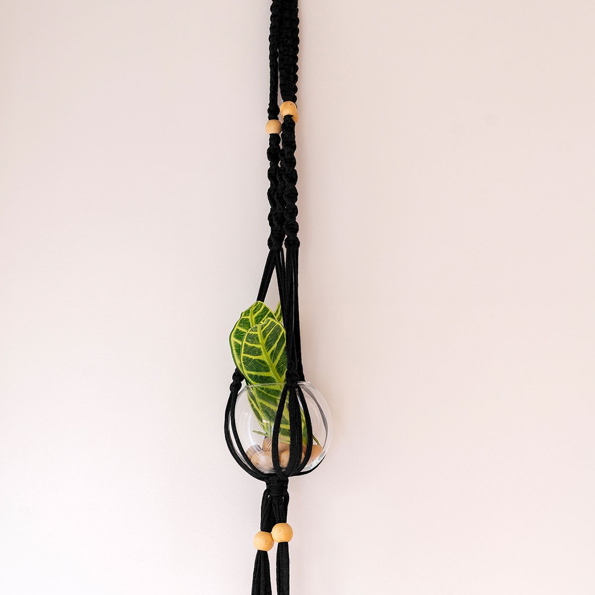 DIY Kit Zpagetti Macramé Hanging Basket Cotton Black Night