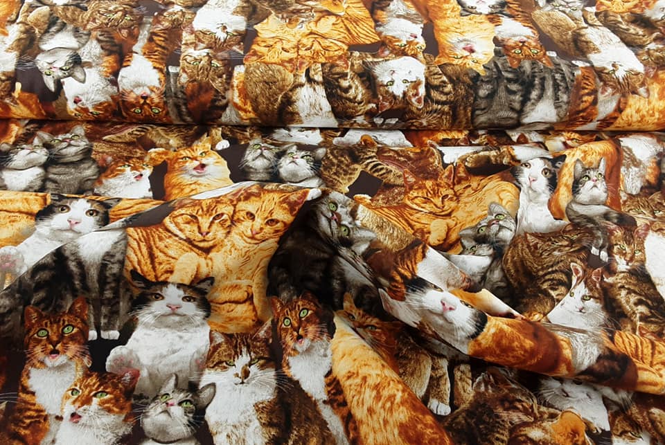 Realistic Cats