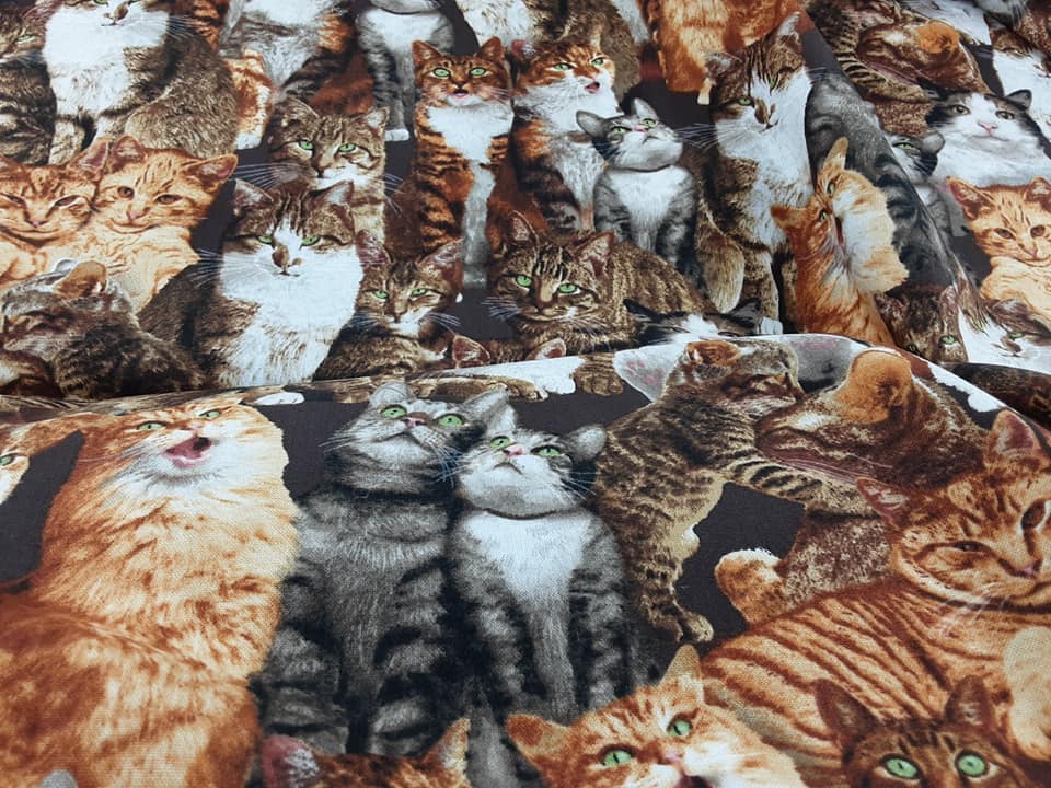 Realistic Cats