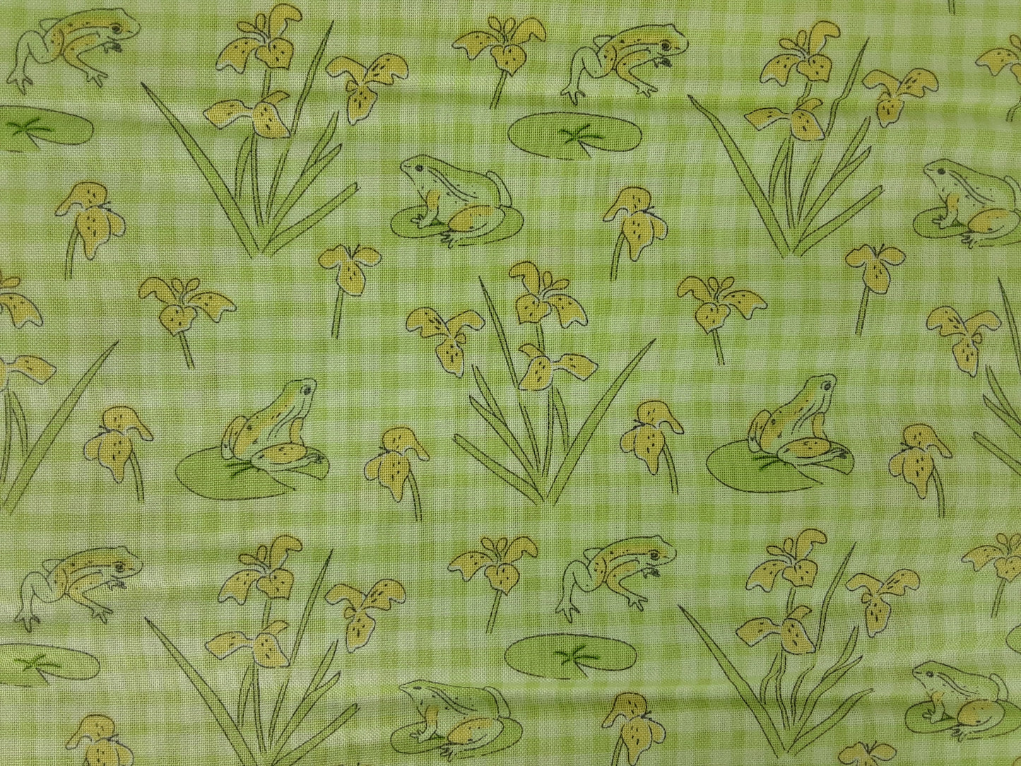 Lily Pad Collection By Debbie shore/ Frogs