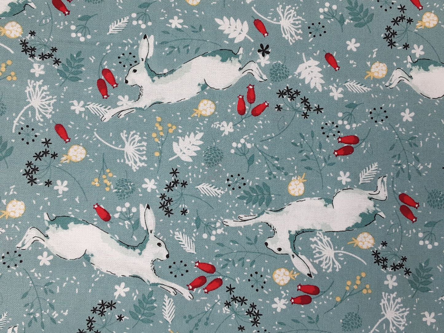 Christmas Hare- Duck Egg