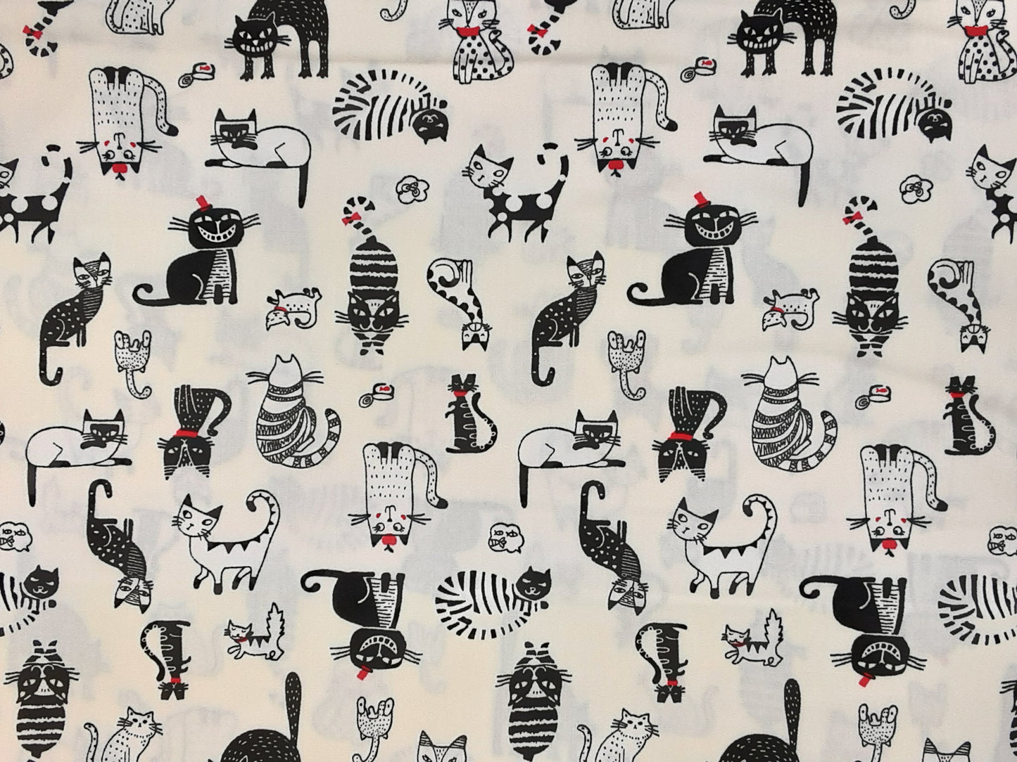 Cotton Poplin Cats Ivory