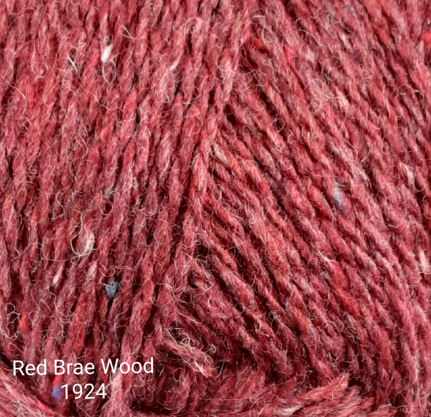 Forest Recycled Aran 100g