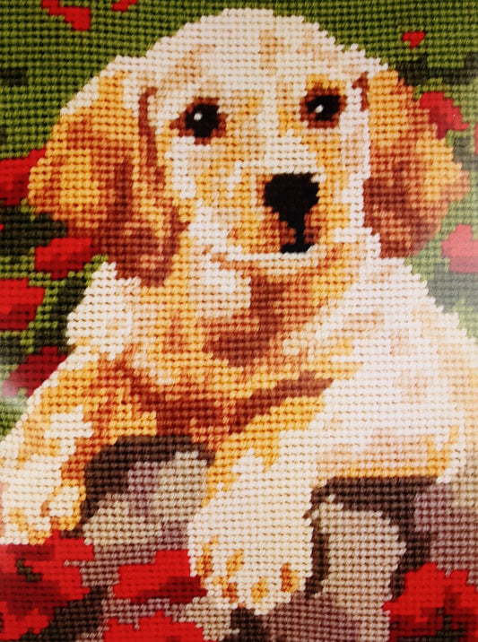 Tapestry Kit: Starter: Labrador Puppy