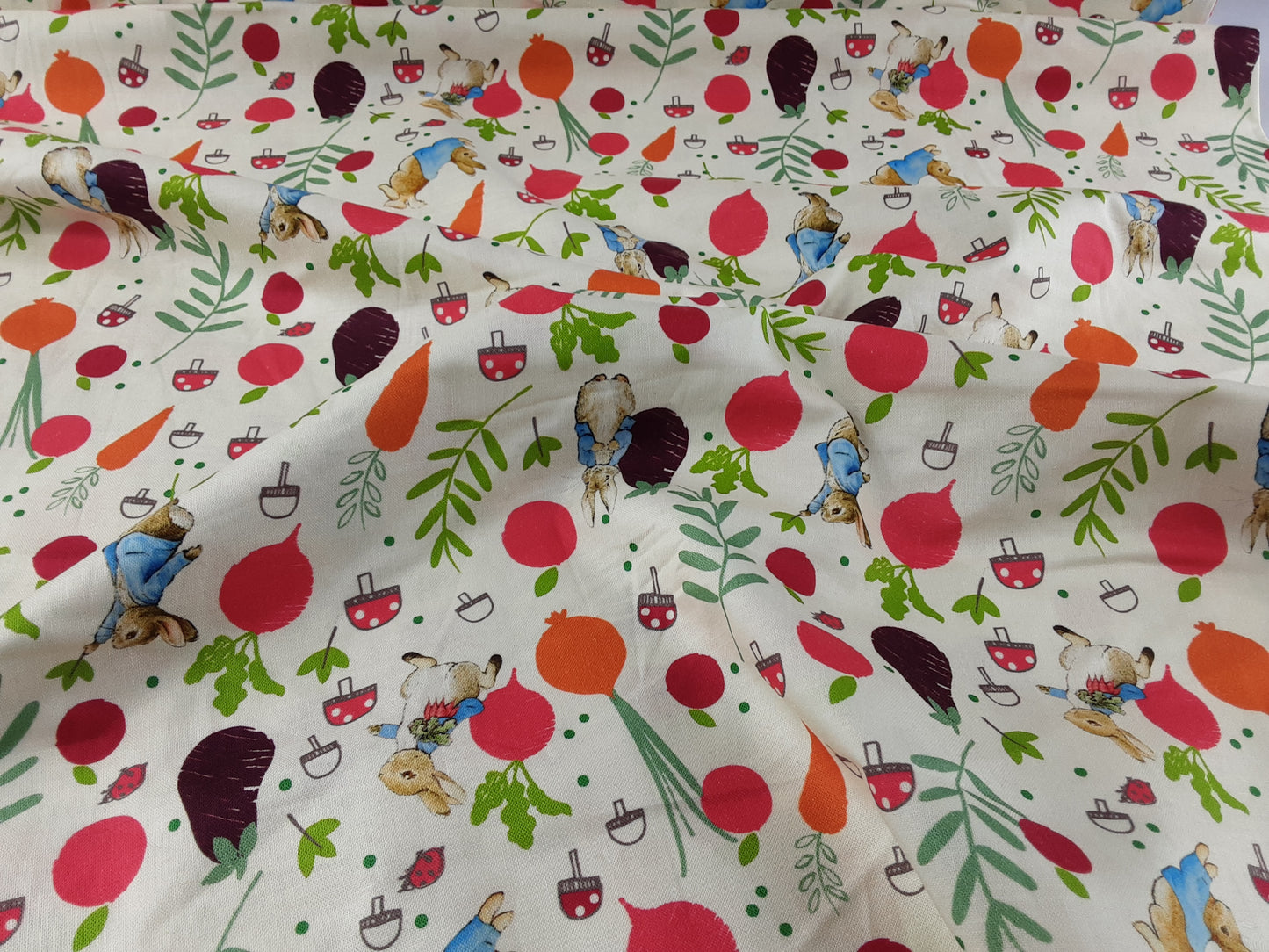 Peter Rabbit – in the Veg Garden