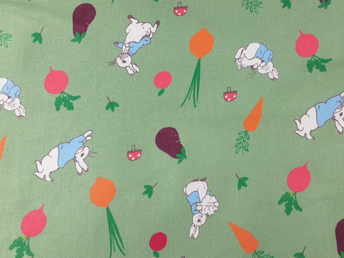 Peter Rabbit –5 A Day