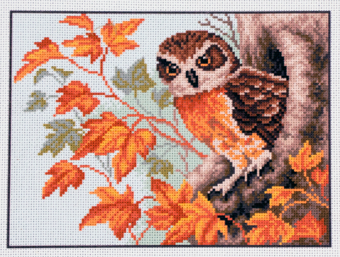 Printed Aida Fabric: Owl
