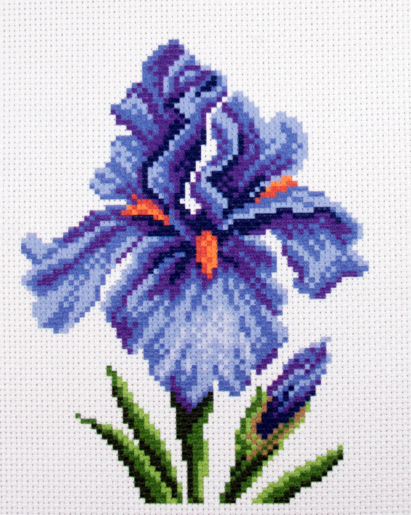 Printed Aida Fabric: Irises