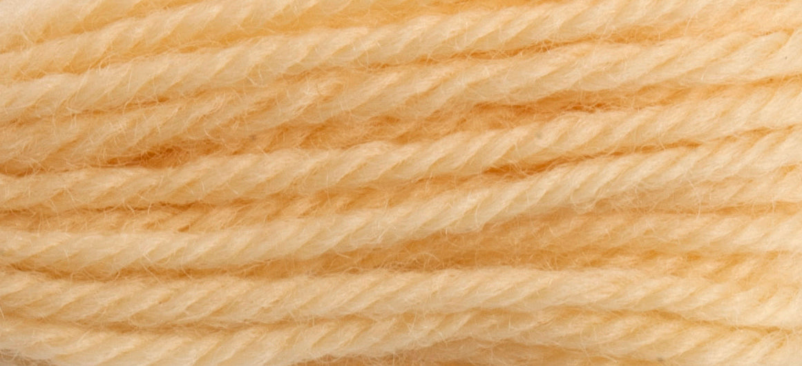 Tapisserie Wool:10m: Skeins/8052