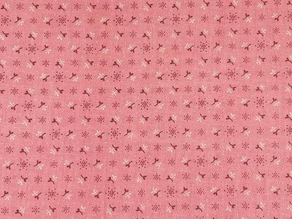 Brown & White Pattern on Pink