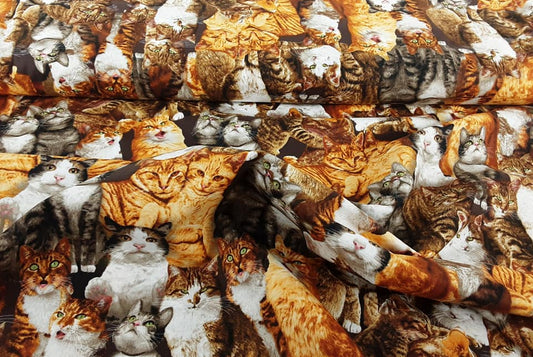 Realistic Cats
