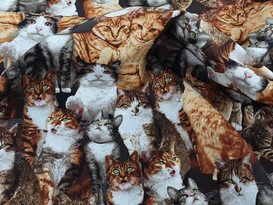 Realistic Cats
