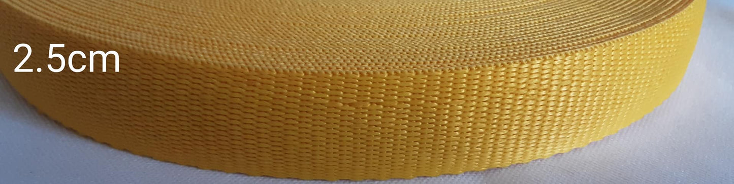 Pweb polyester webbing 2.5cm