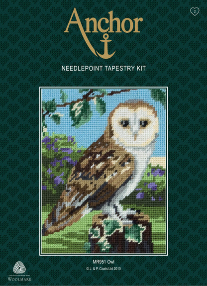Tapestry Kit: Starter: Owl