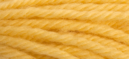 Tapisserie Wool:10m: Skeins/8016
