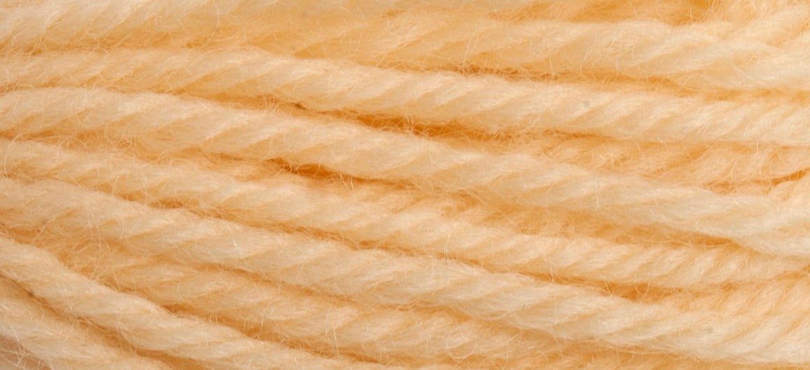 Tapisserie Wool:10m: Skeins/8036