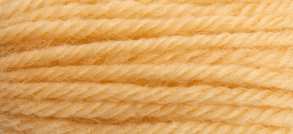 Tapisserie Wool:10m: Skeins/8038